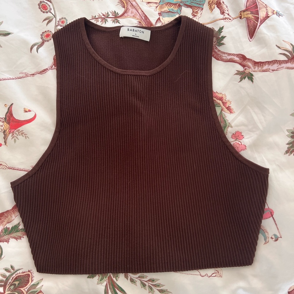 Babaton Crop Top